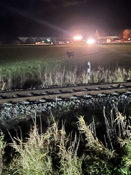 FFG20251116KuhWeisskirchen2