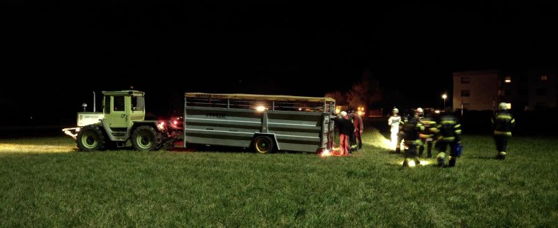 FFG20251116KuhWeisskirchen4