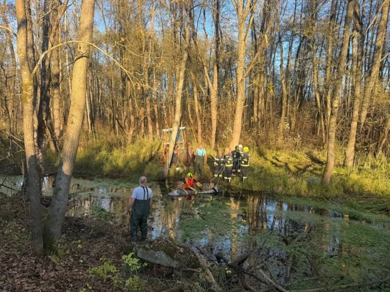 2025_11_04_tierrettung_werndorf06