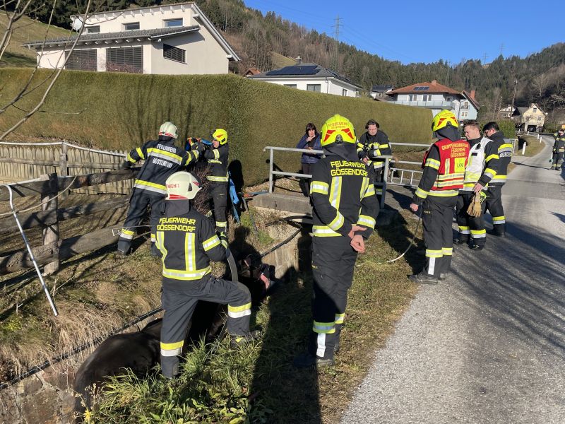 20251212tierrettung-1