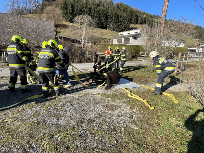 20251212tierrettung-10