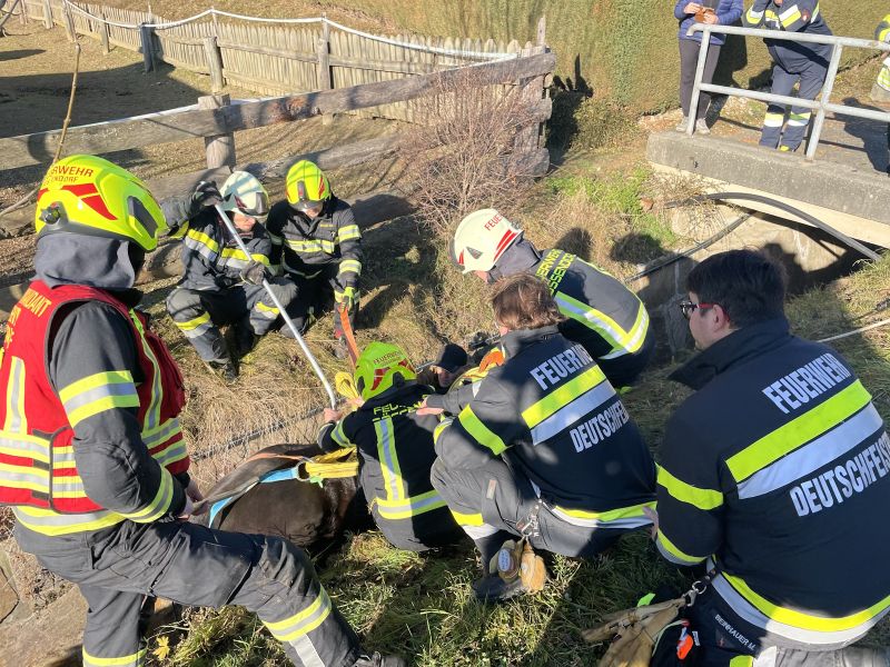 20251212tierrettung-2