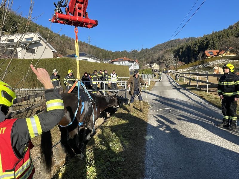 20251212tierrettung-6