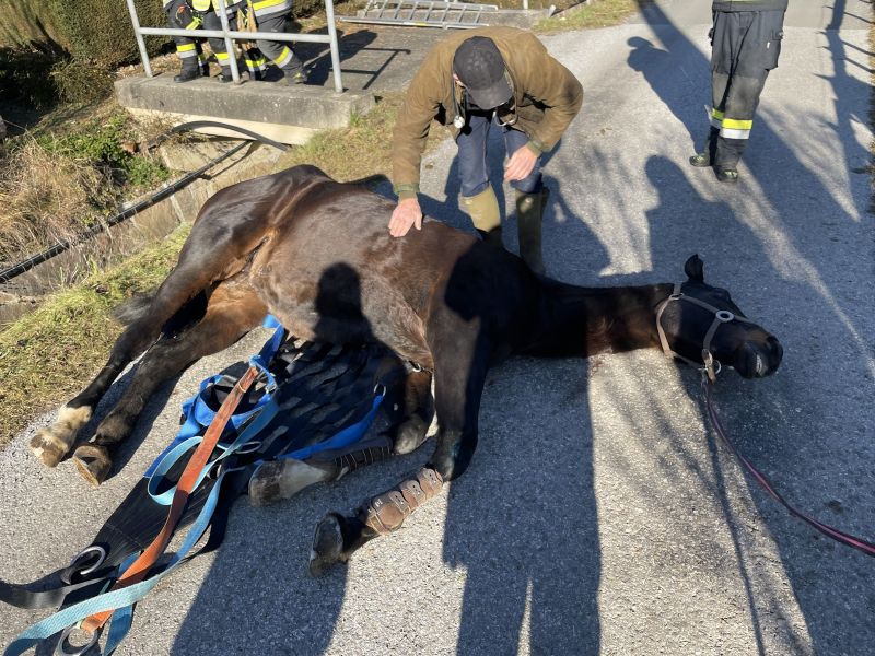 20251212tierrettung-7