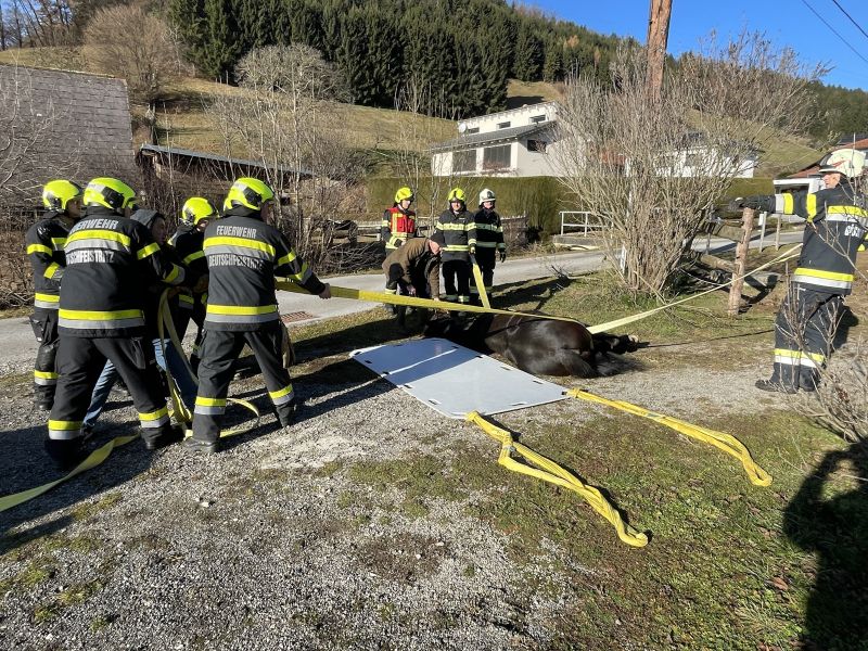 20251212tierrettung-8