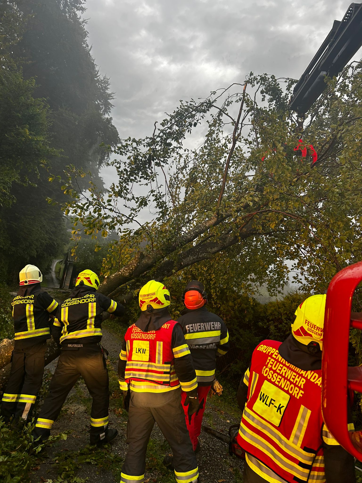 2025 06 23 unwetter vasolsdberg 01