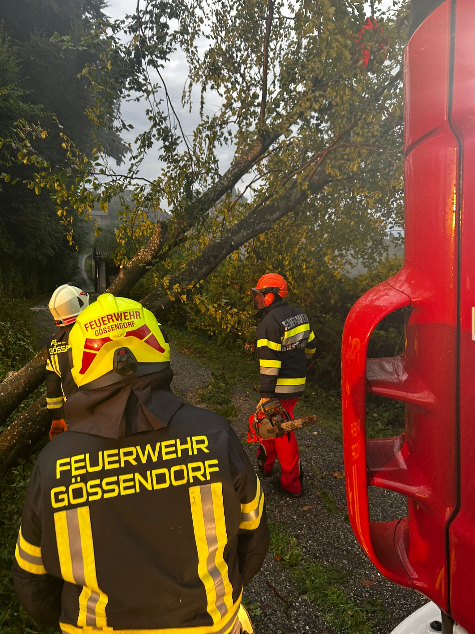 2025 06 23 unwetter vasolsdberg 02