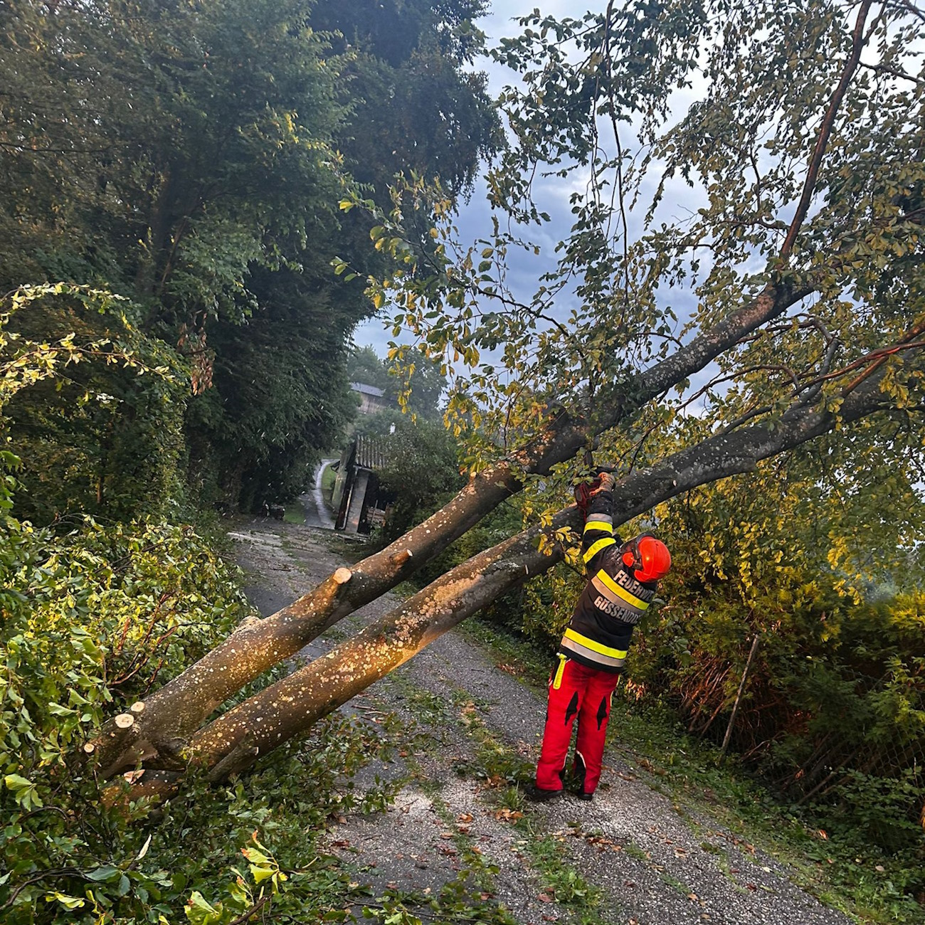 2025 06 23 unwetter vasolsdberg 03
