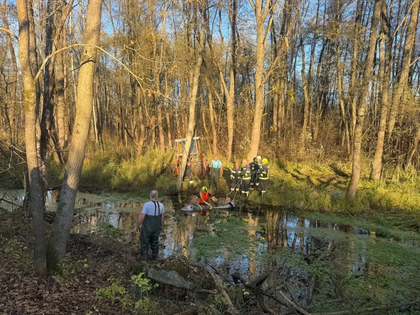 2025 11 04 tierrettung werndorf06