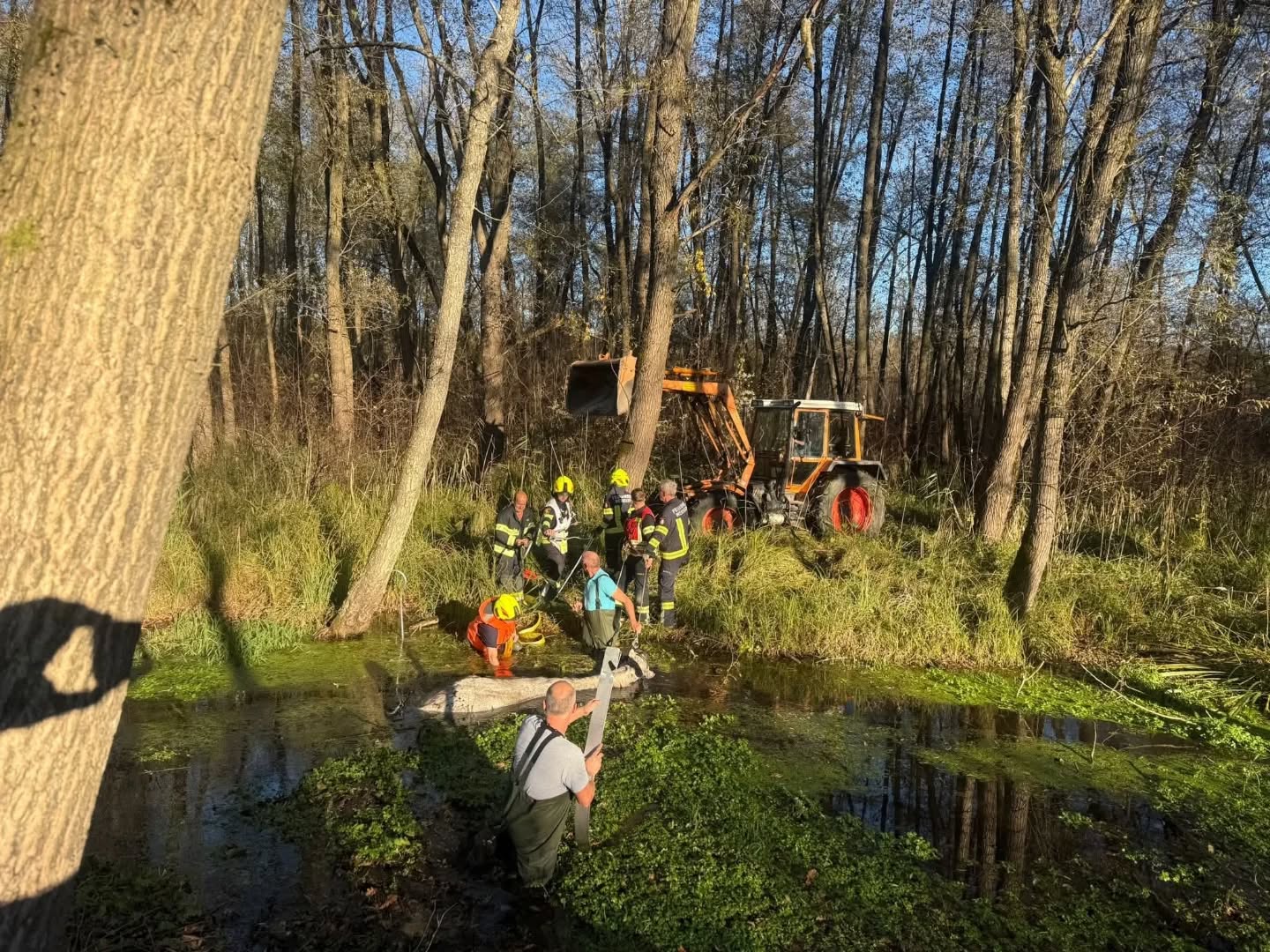 2025 11 04 tierrettung werndorf07