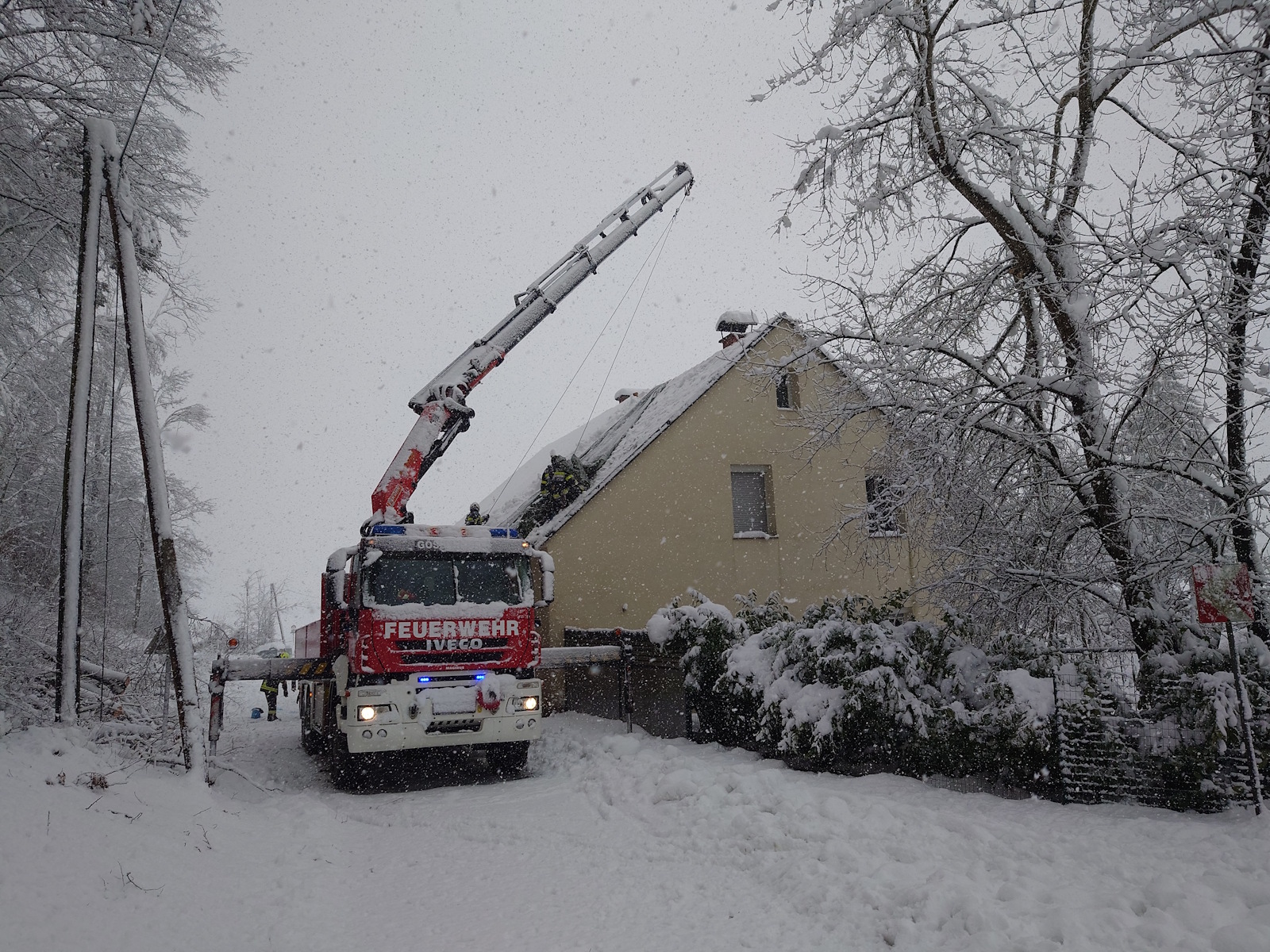 20 02 2026 wlf wildon 1