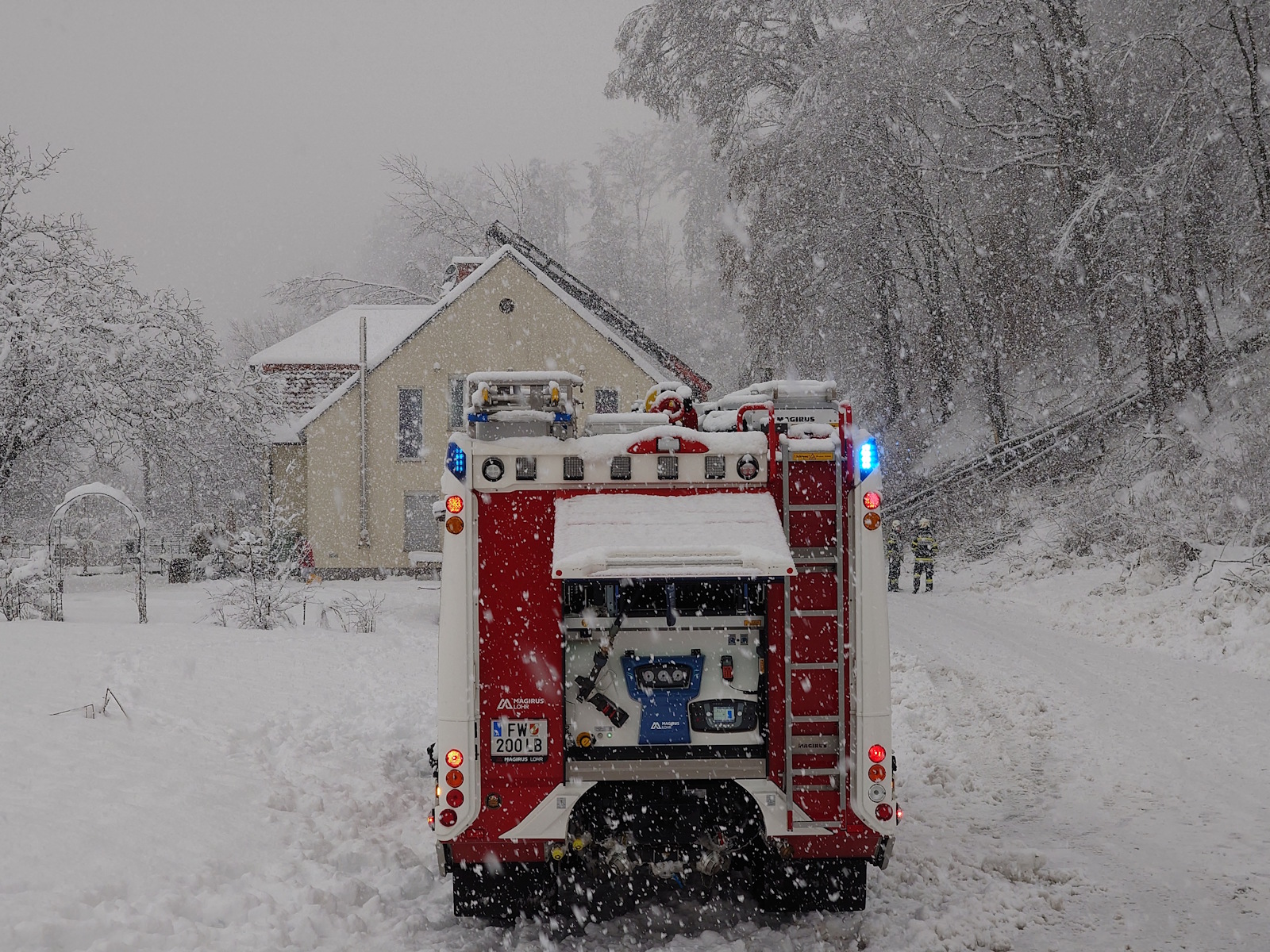 20 02 2026 wlf wildon 5