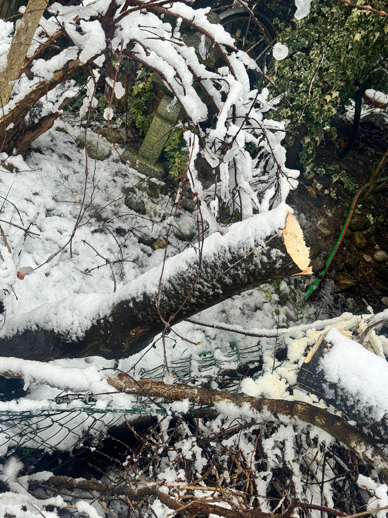 20 02 2026 bienenweg unwetter 1